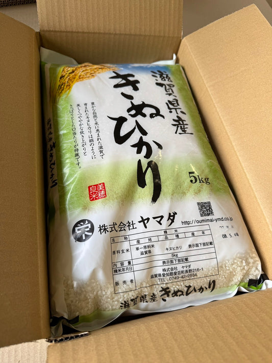 【Gạo thu hoạch năm 2025】Gạo Kinuhikari tỉnh Shiga 10kg
