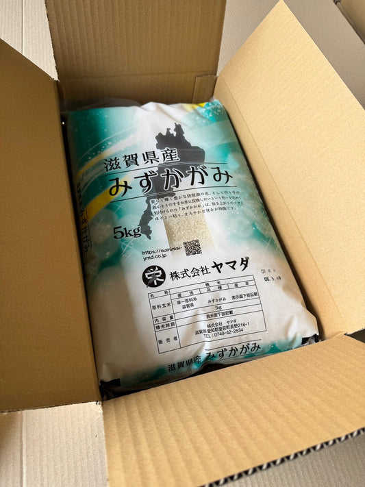 【Gạo thu hoạch năm 2025】Gạo Mizukagami tỉnh Shiga 10kg