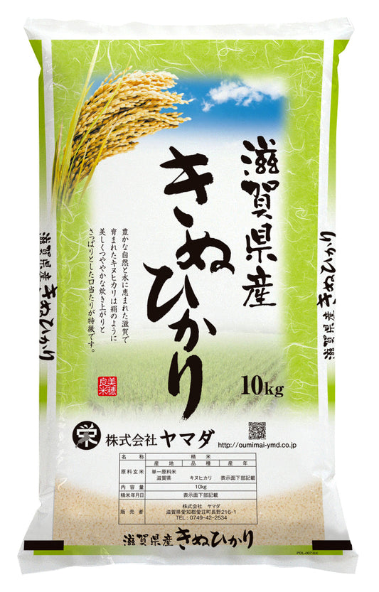 【Gạo thu hoạch năm 2025】Gạo Kinuhikari tỉnh Shiga 10kg