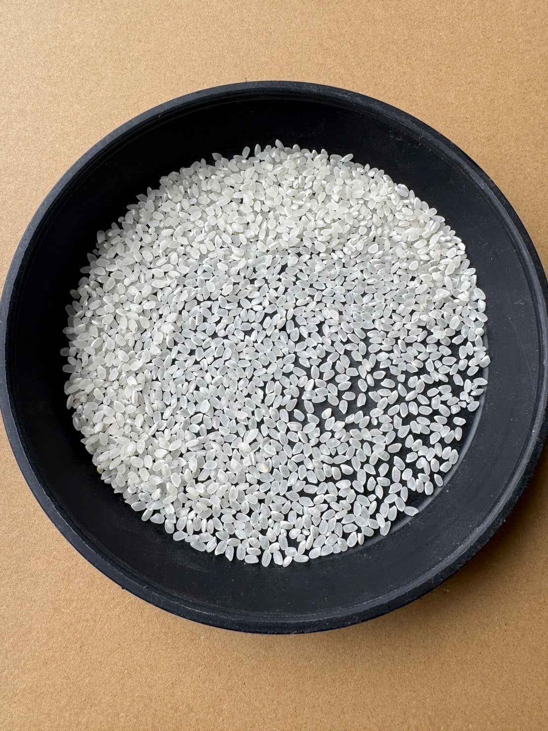 【Gạo thu hoạch năm 2025】Gạo Koshihikari tỉnh Shiga 10kg