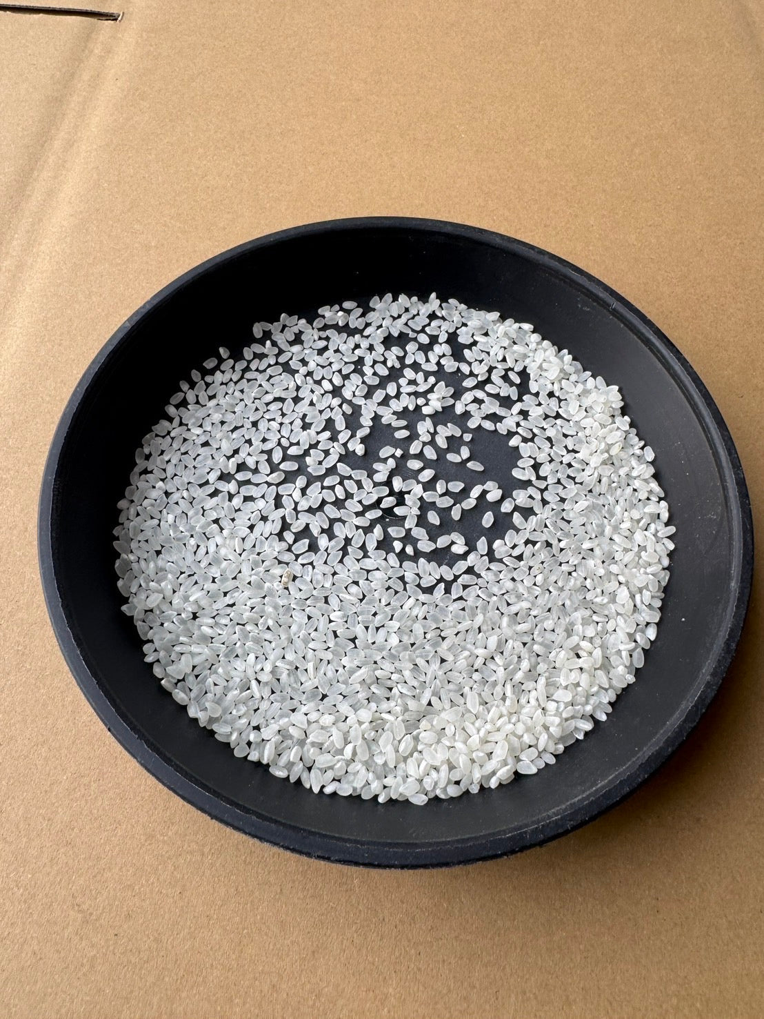 【Gạo thu hoạch năm 2025】Gạo Nipponbare tỉnh Shiga 10kg