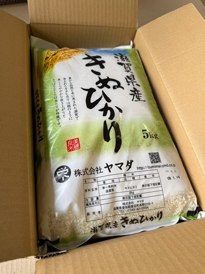 【Gạo thu hoạch năm 2025】Gạo Kinuhikari tỉnh Shiga 10kg
