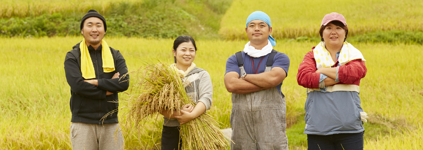【Gạo thu hoạch năm 2025】Gạo Kinuhikari tỉnh Shiga 10kg