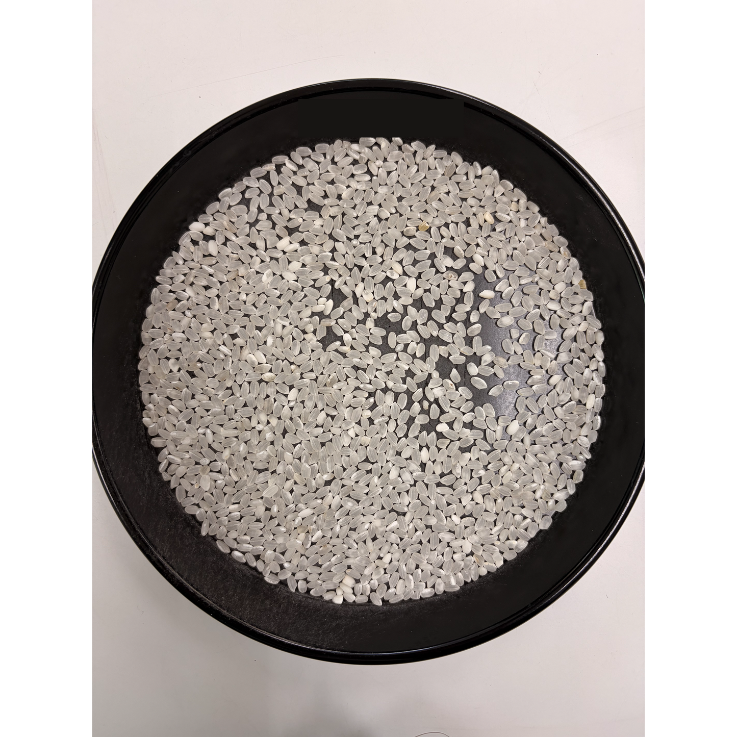 【Gạo thu hoạch năm 2025】Gạo trộn tỉnh Shiga 30kg (hạt lớn – loại L)