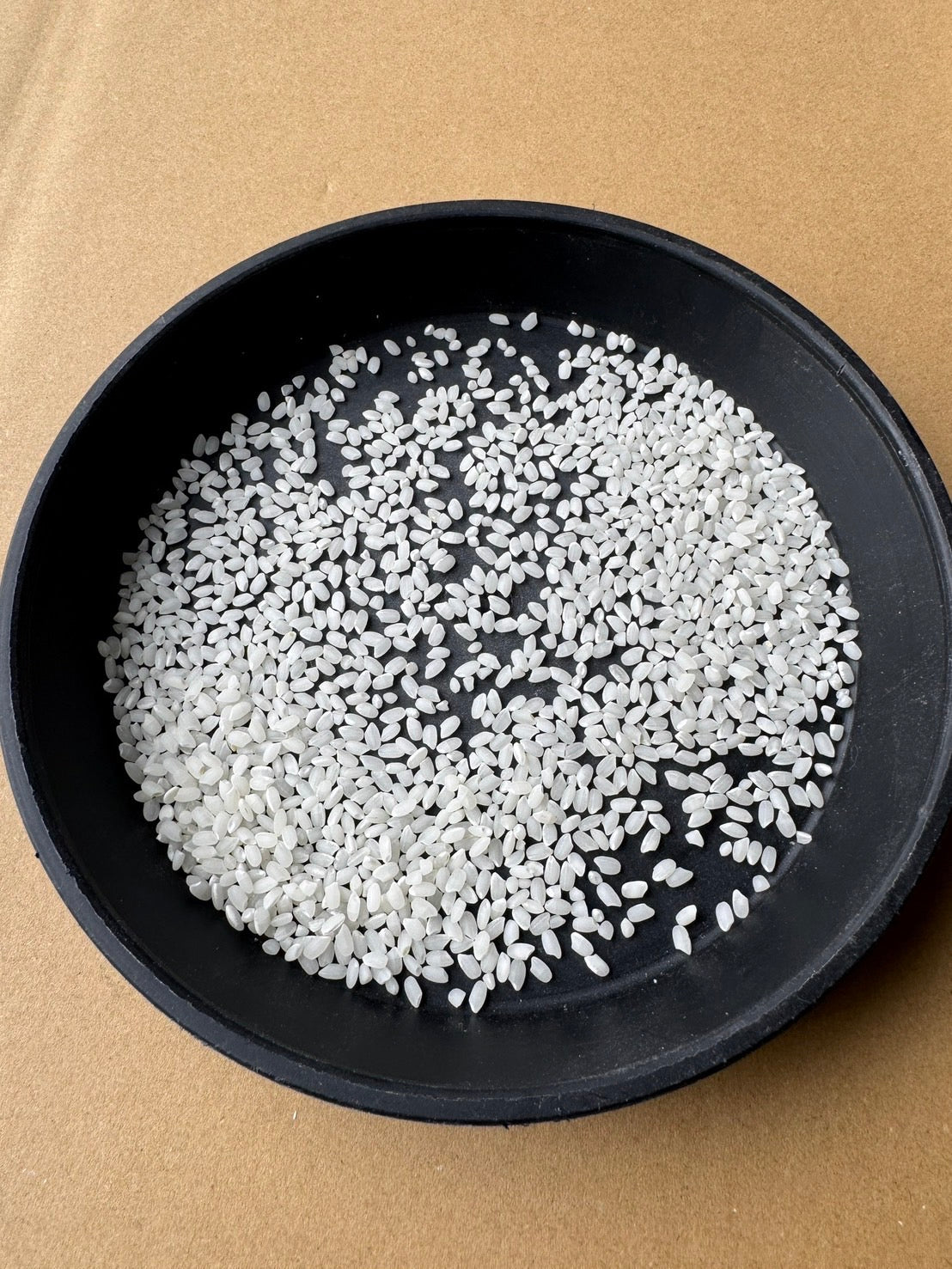 【Gạo thu hoạch năm 2025】Gạo Milky Queen tỉnh Shiga 10kg