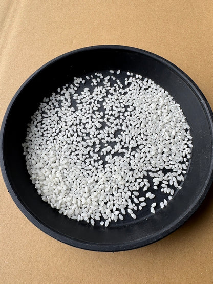 【Gạo thu hoạch năm 2025】Gạo Milky Queen tỉnh Shiga 10kg