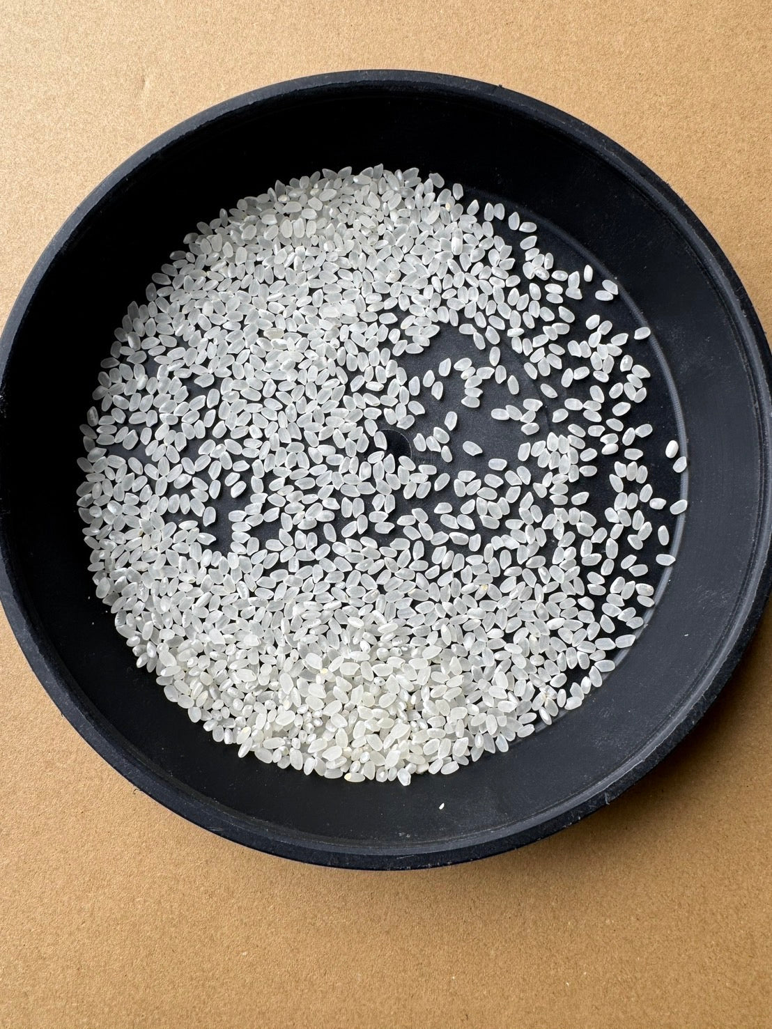 【Gạo thu hoạch năm 2025】Gạo Mizukagami tỉnh Shiga 10kg