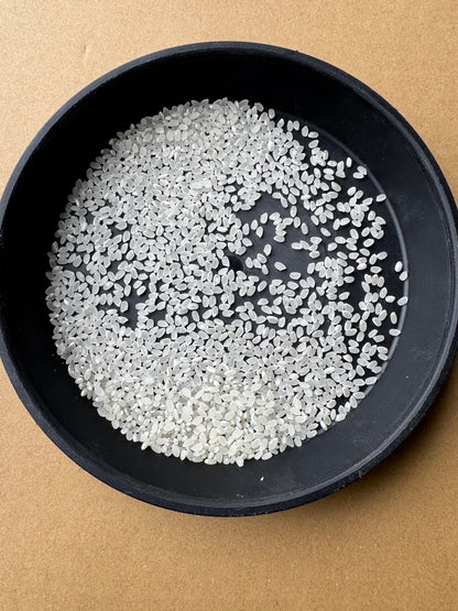 【Gạo thu hoạch năm 2025】Gạo Mizukagami tỉnh Shiga 10kg
