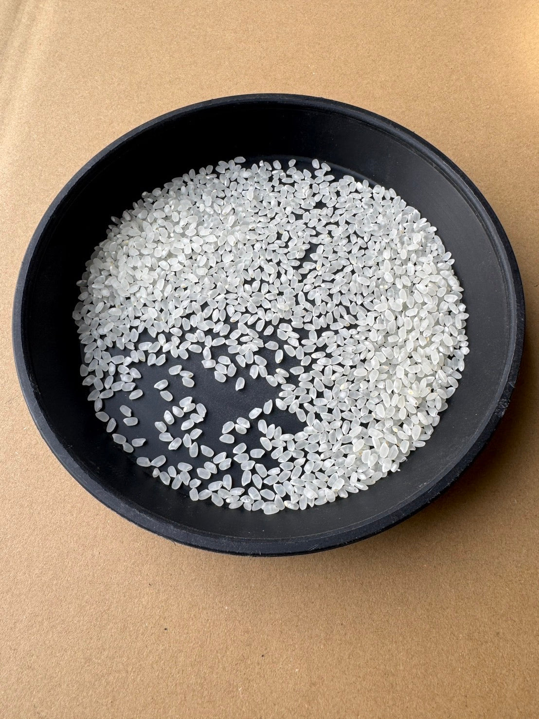 【Gạo thu hoạch năm 2025】Gạo Kinuhikari tỉnh Shiga 10kg